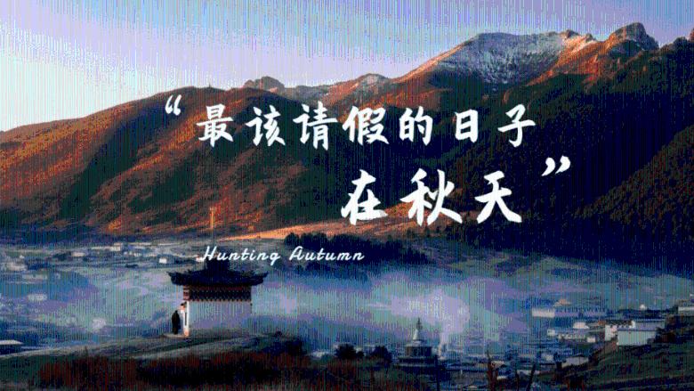 方程式飙车