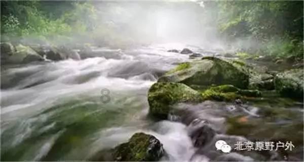 过年必备的零食核桃红枣糕,不用烤箱,平底锅就搞定,健康又好吃